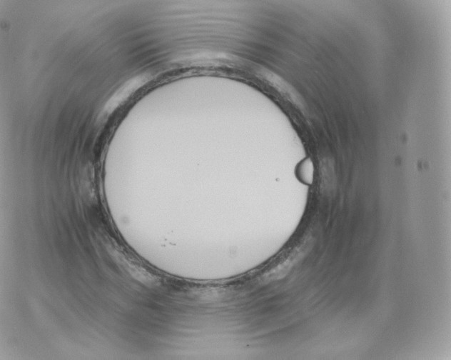 X0000070380970200606301917