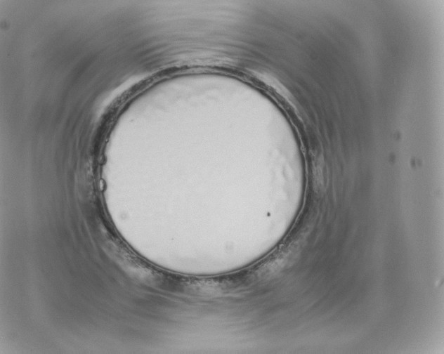 X0000070380971200606301917