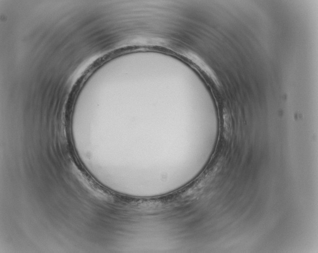 X0000070380972200606301917