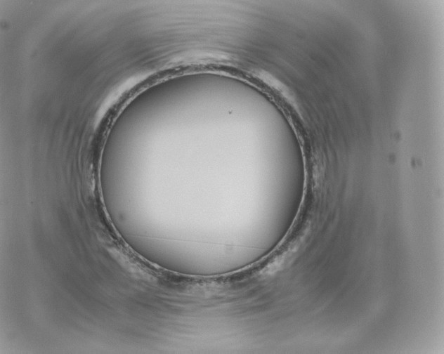 X0000070380973200606301917