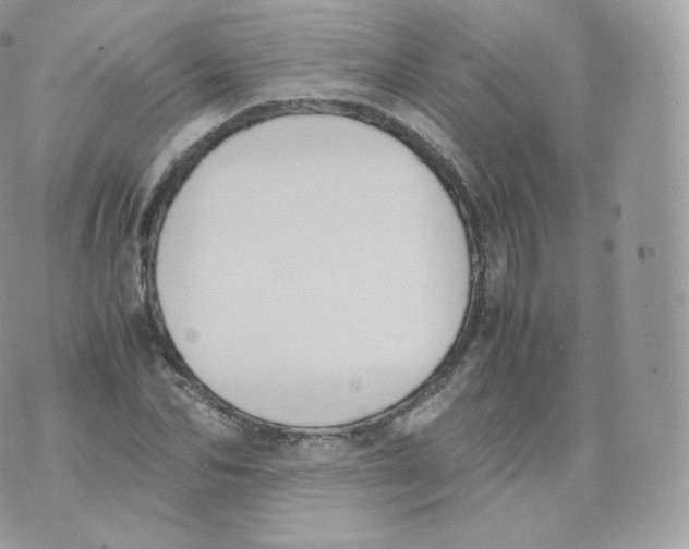 X0000070380974200606301917