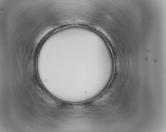 X0000070380975200606301917