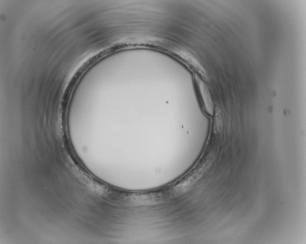 X0000070380976200606301917