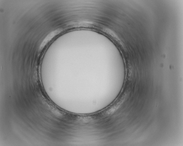 X0000070380978200606301917