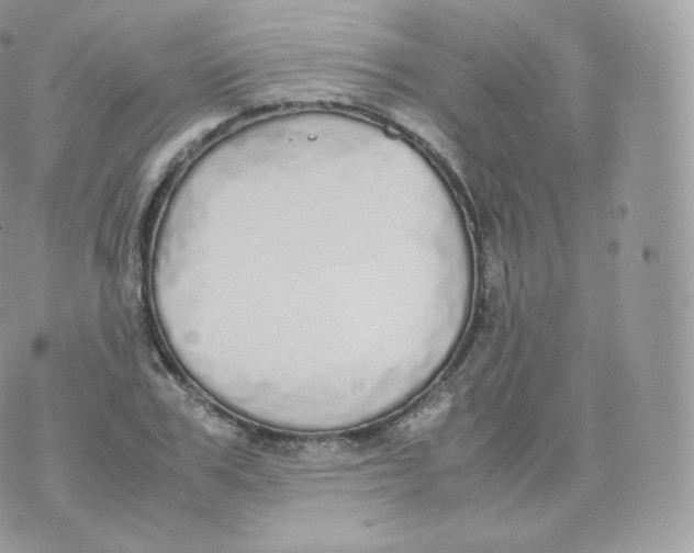 X0000070380979200606301917