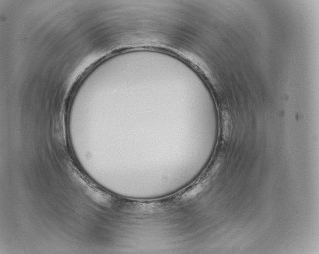 X0000070380982200606301917