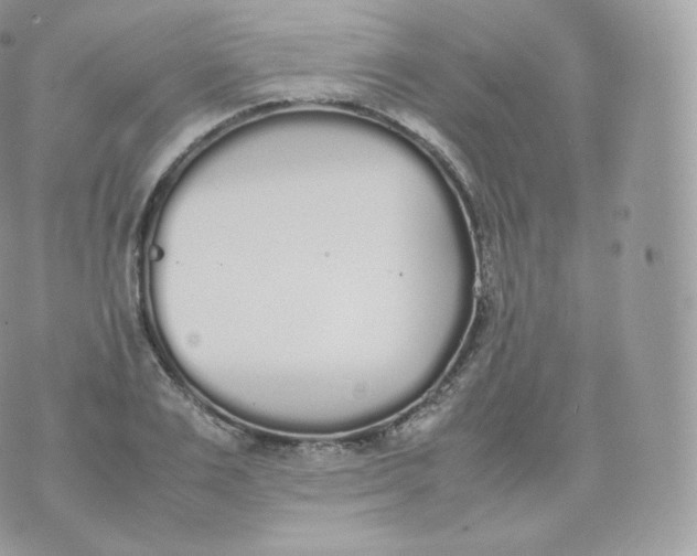 X0000070380983200606301917