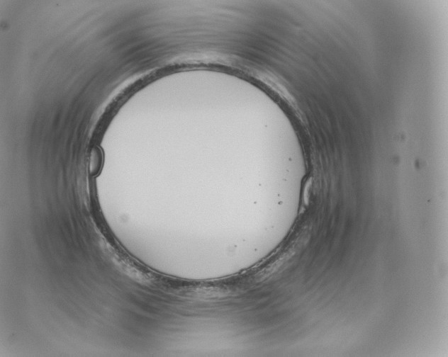 X0000070380984200606301917