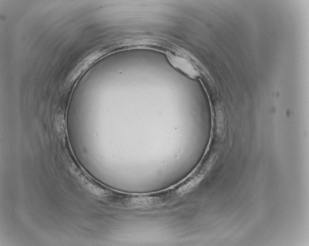 X0000070380985200606301917