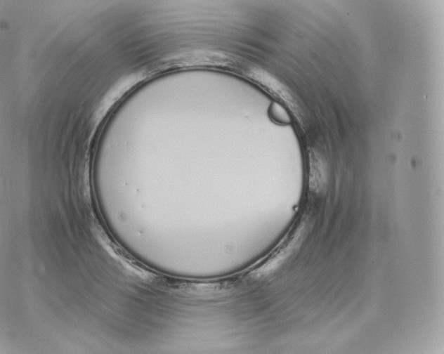 X0000070380986200606301917