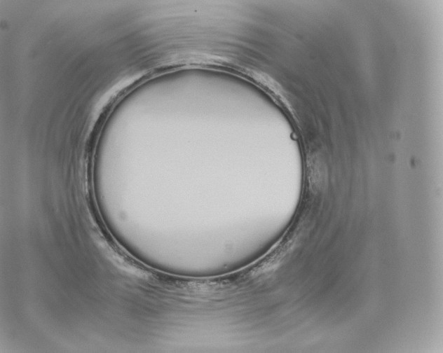 X0000070380987200606301917