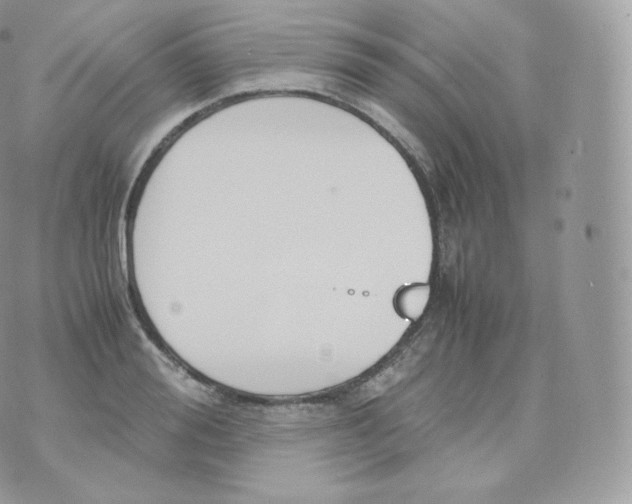 X0000070380988200606301917