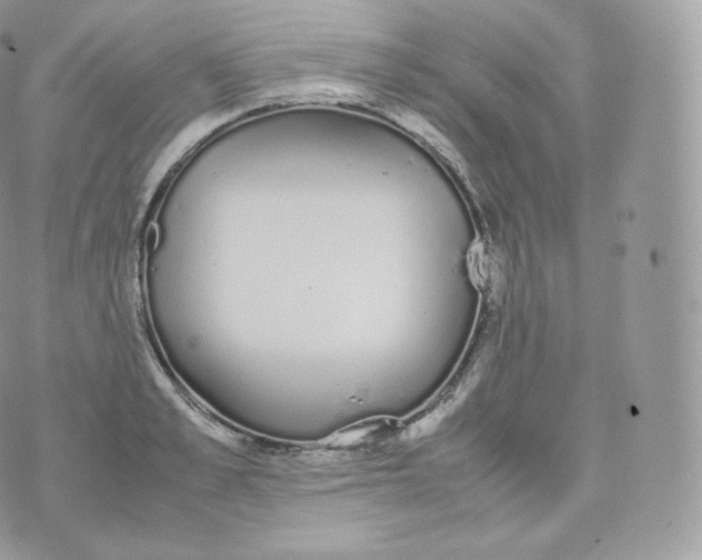 X0000070380989200606301917