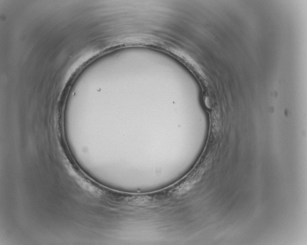 X0000070380991200606301917