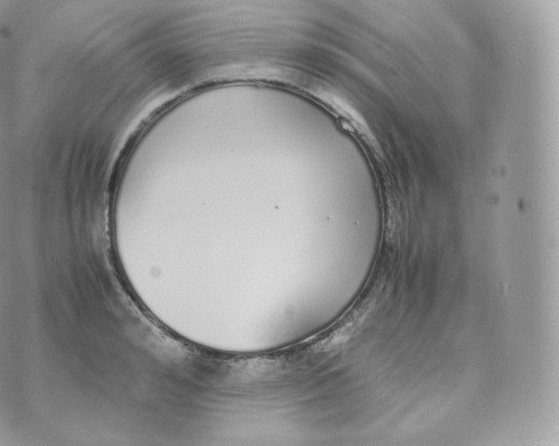 X0000070380992200606301917