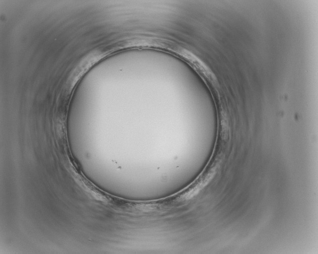 X0000070380993200606301917