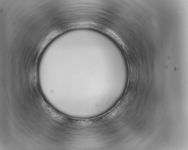 X0000070380994200606301917