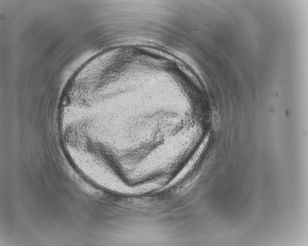 X0000070380995200606301917