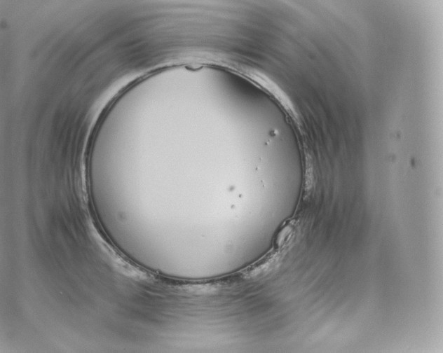 X0000070380996200606301917