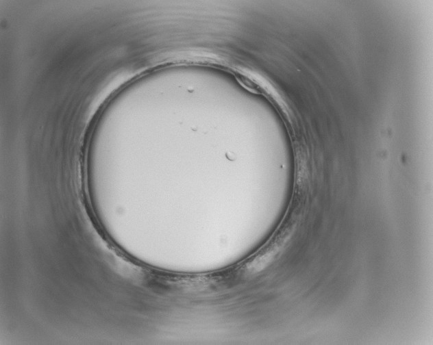 X0000070380999200606301917