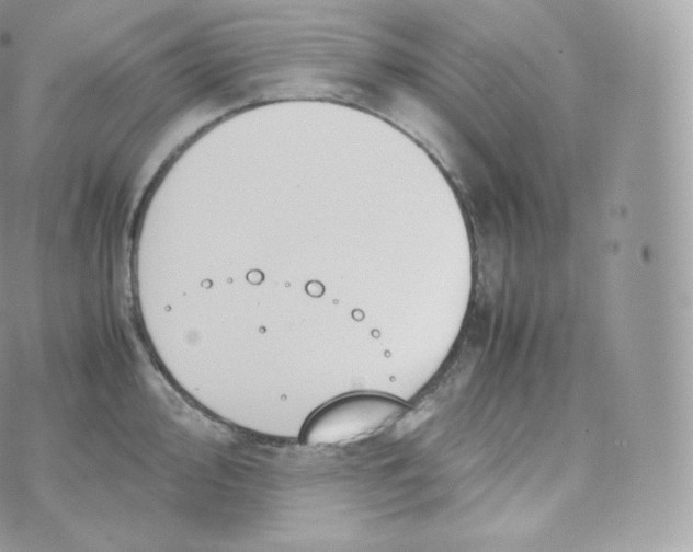 X0000070381000200606301917