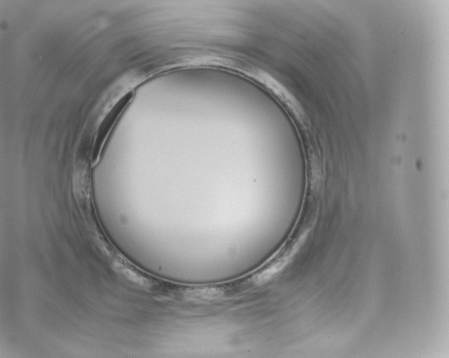 X0000070381001200606301917