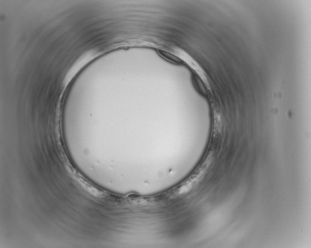 X0000070381002200606301917