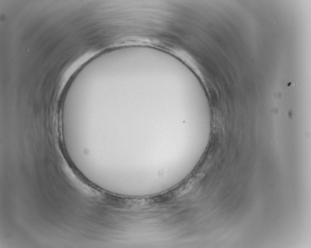 X0000070381003200606301917