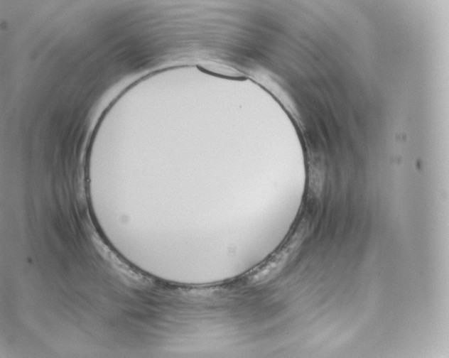 X0000070381004200606301917