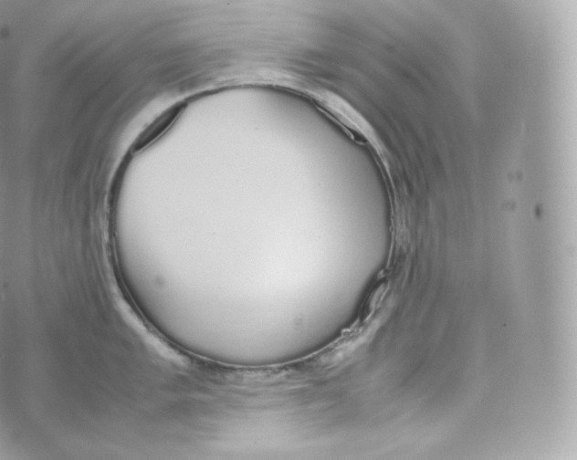 X0000070381005200606301916