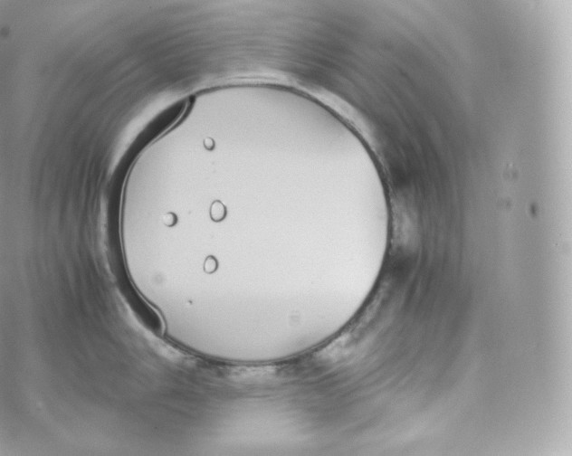 X0000070381006200606301916