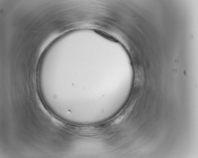 X0000070381007200606301916