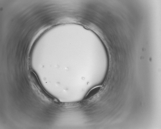 X0000070381008200606301916