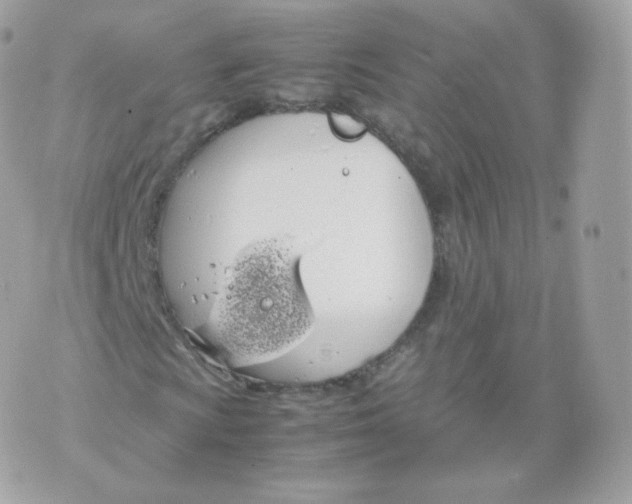 X0000070381009200606301916