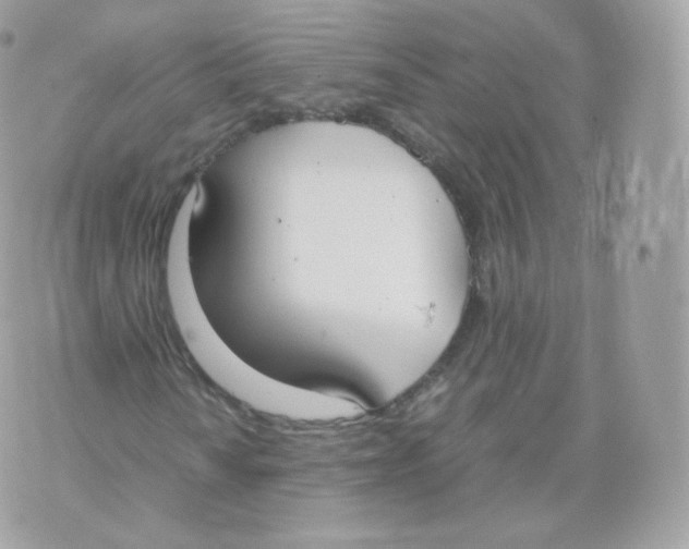 X0000070381010200606301916