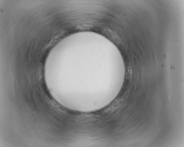 X0000070381012200606301916