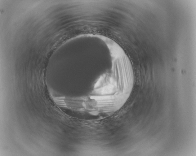 X0000070381013200606301916