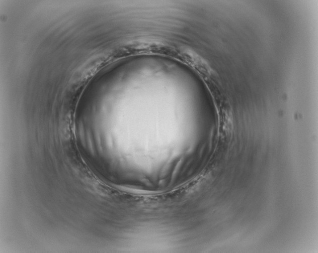 X0000070381014200606301916