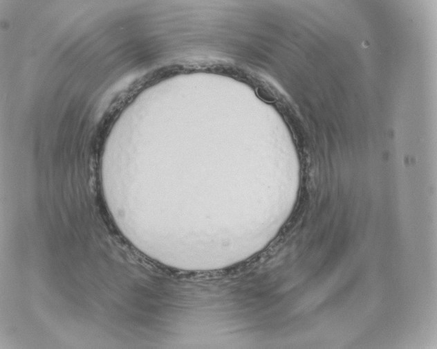 X0000070381016200606301916