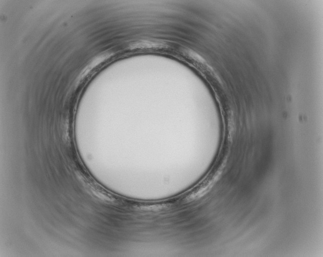 X0000070381017200606301916