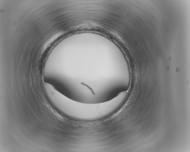 X0000070381018200606301916