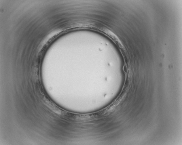 X0000070381019200606301916