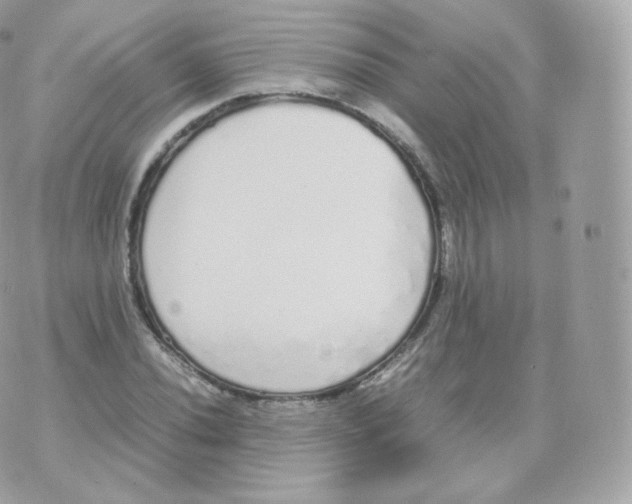 X0000070381020200606301916