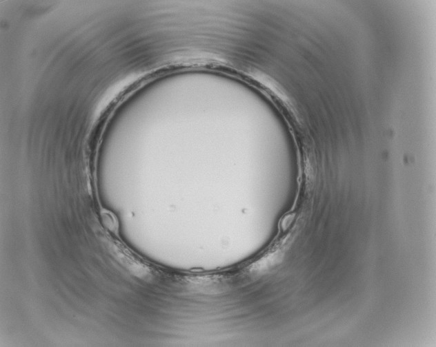 X0000070381022200606301916