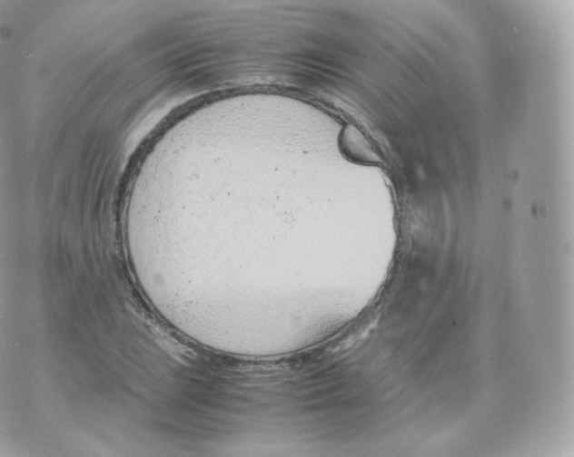 X0000070381023200606301916