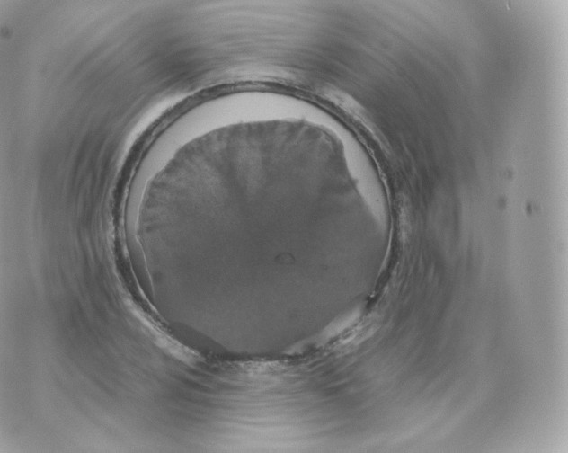 X0000070381024200606301916