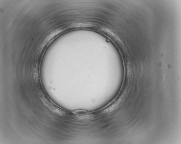 X0000070381025200606301916