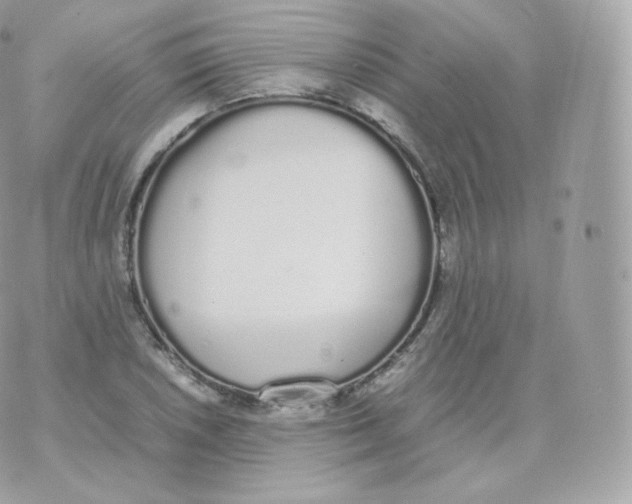 X0000070381026200606301916