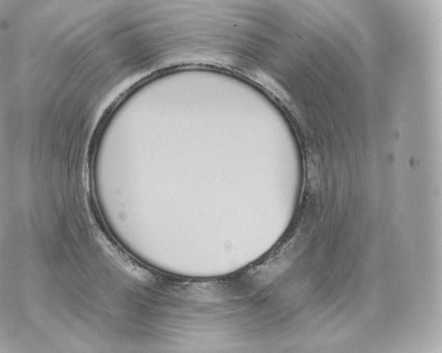 X0000070381028200606301916