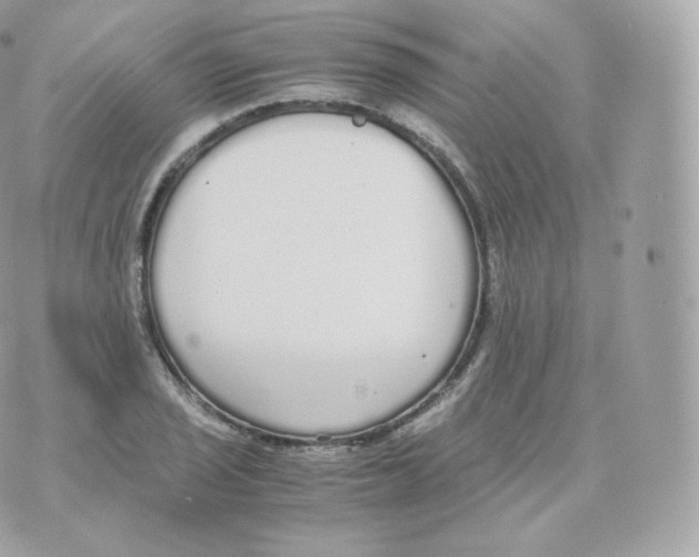 X0000070381029200606301916